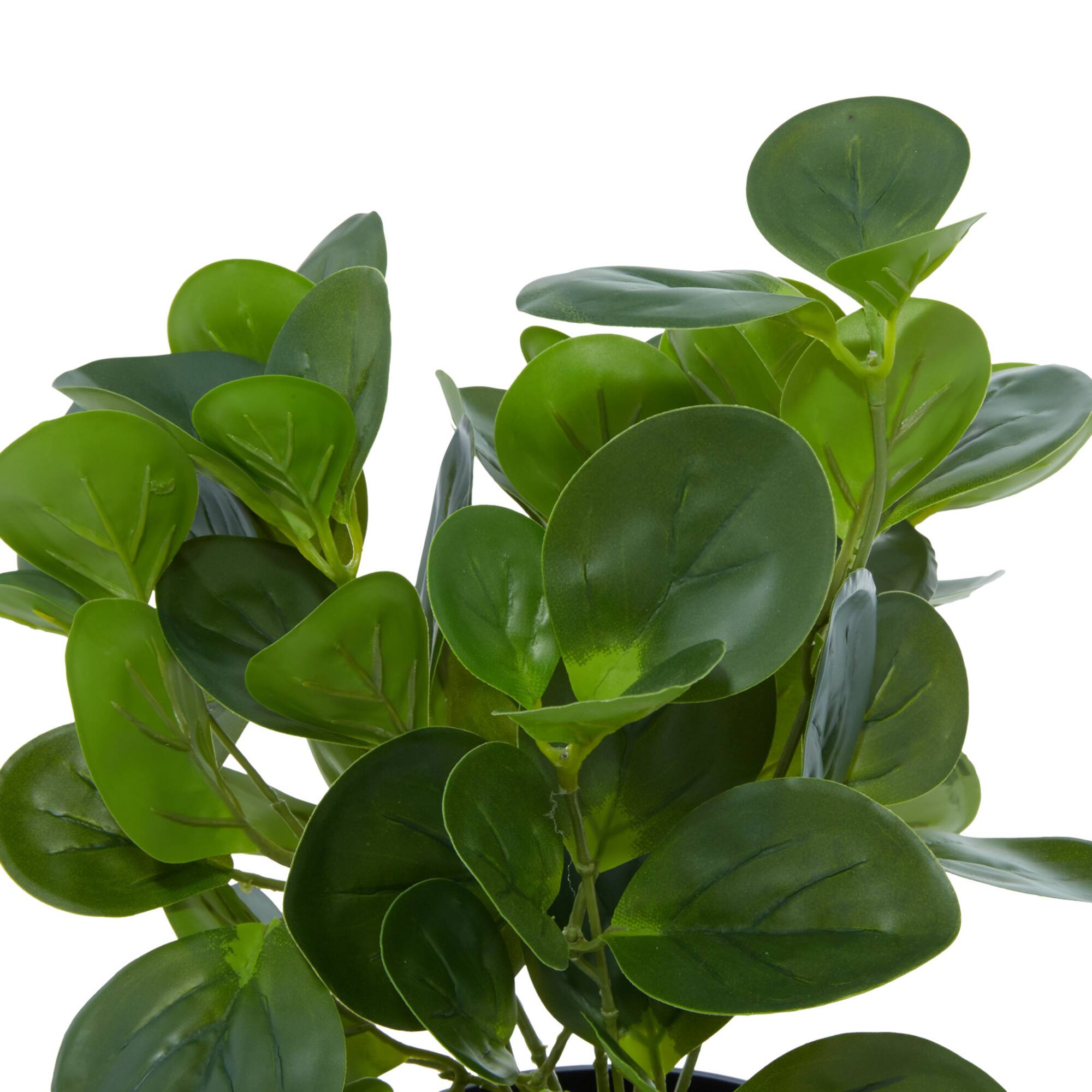 Green Plastic Traditional Artificial Foliage, 10" x 7" x 13"
